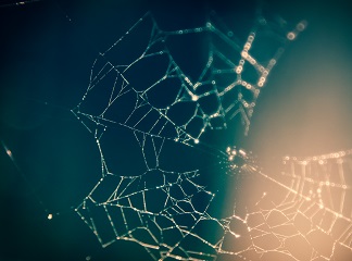 web