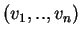 $ (v_1,..,v_n)$