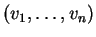 $ (v _ 1,\dots, v _ n)$