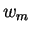 $ w _ m$