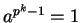 $ a^{p^k -1} = 1$