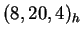 $ (8,20,4)_h$