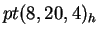 $ pt(8,20,4)_h$