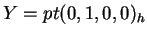 $ Y = pt(0,1,0,0) _ h$