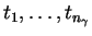 $ t_1,\dots, t_{n_\gamma} $