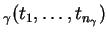 $ _\gamma
(t_1,\dots, t_{n_\gamma}) $