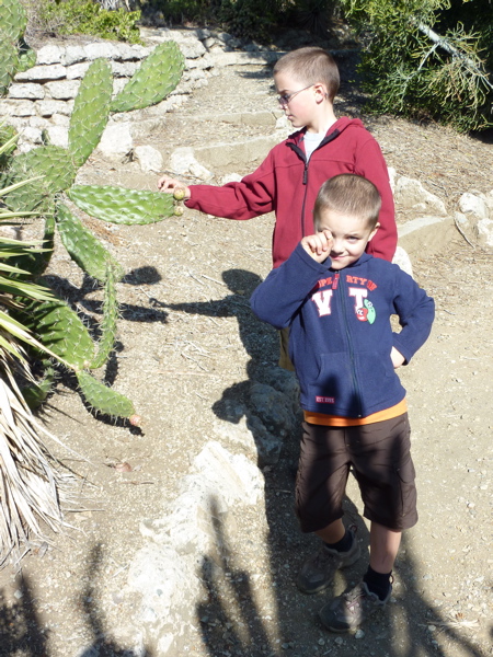 P1000283.JPG