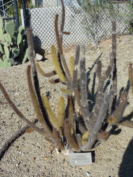 P1000289.JPG