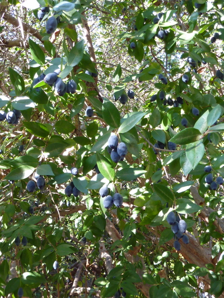 P1000304.JPG