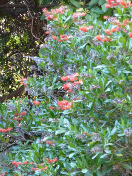 P1000306.JPG