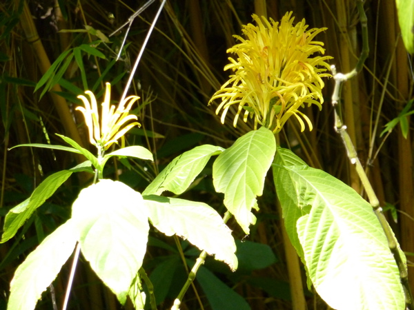 P1000317.JPG