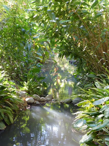 P1000322.JPG