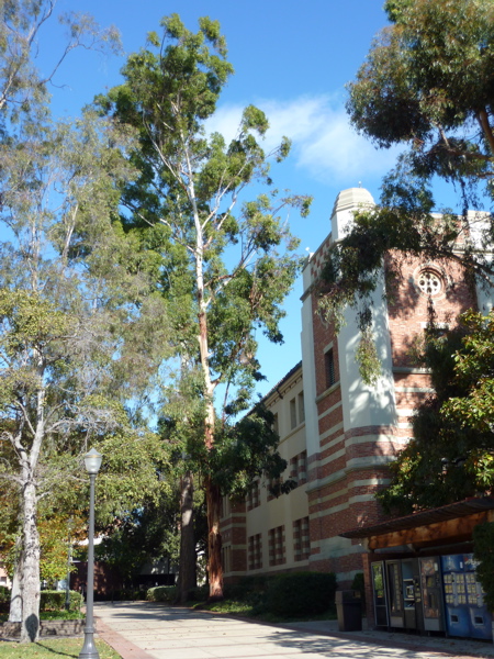 P1000329.JPG