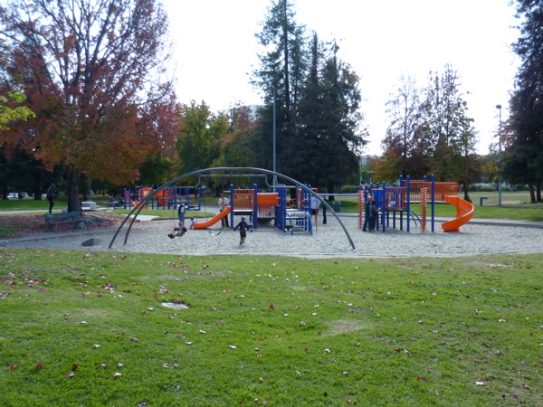 P1000334.JPG