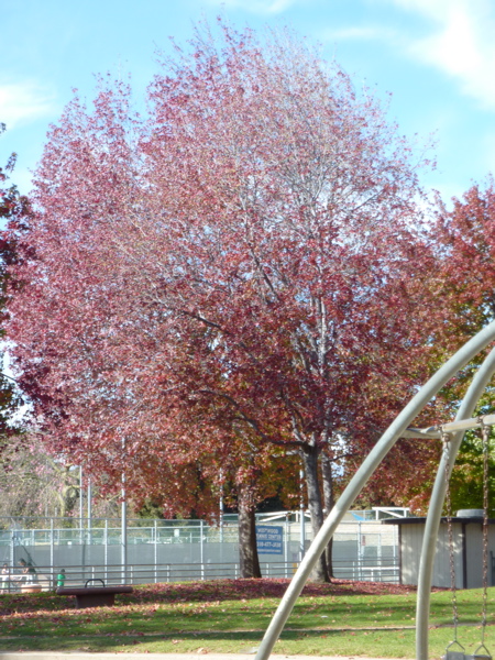 P1000337.JPG