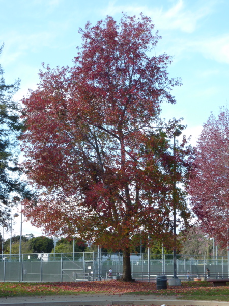 P1000338.JPG