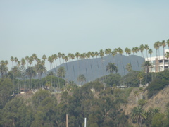 P1000093.JPG