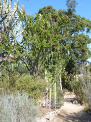 P1000284.JPG