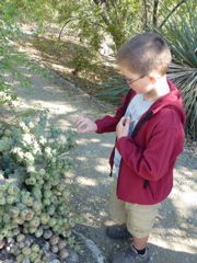 P1000287.JPG