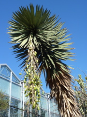 P1000290.JPG