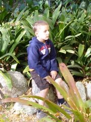 P1000305.JPG