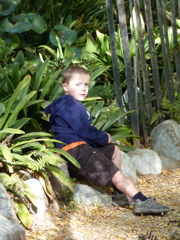 P1000307.JPG