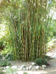 P1000311.JPG