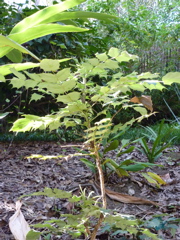 P1000316.JPG