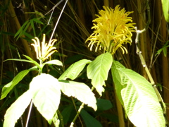 P1000317.JPG