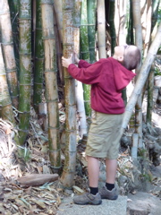P1000318.JPG