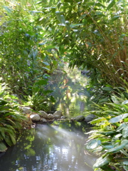 P1000322.JPG