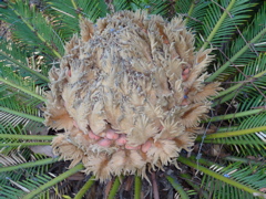 P1000323.JPG