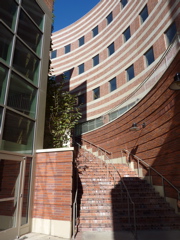 P1000324.JPG