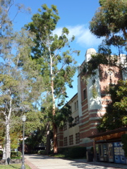 P1000329.JPG