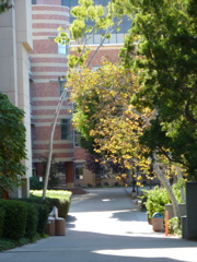 P1000330.JPG