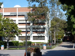 P1000331.JPG
