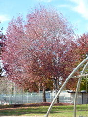 P1000337.JPG