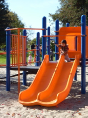 P1000339.JPG