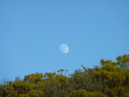 P1000409.JPG