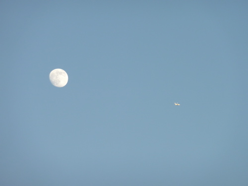 P1000429.JPG