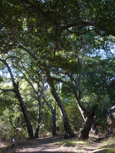P1000355.JPG