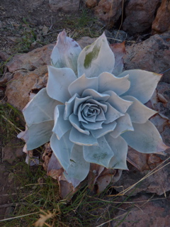 P1000361.JPG