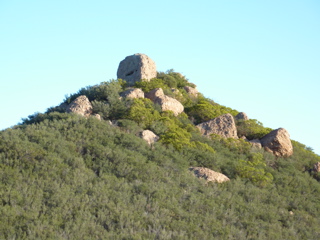 P1000408.JPG