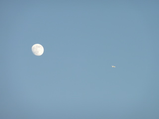 P1000429.JPG