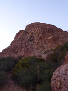 P1000434.JPG
