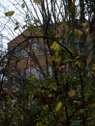 P1000042.JPG