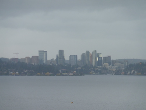 P1000047.JPG