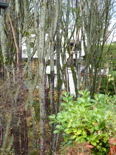 P1000061.JPG