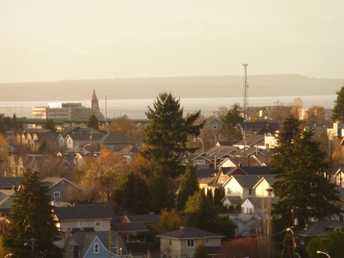 P1000075.JPG