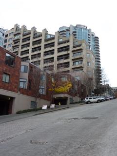 P1000019.JPG
